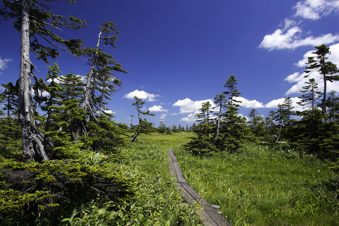 1松山湿原山頂
