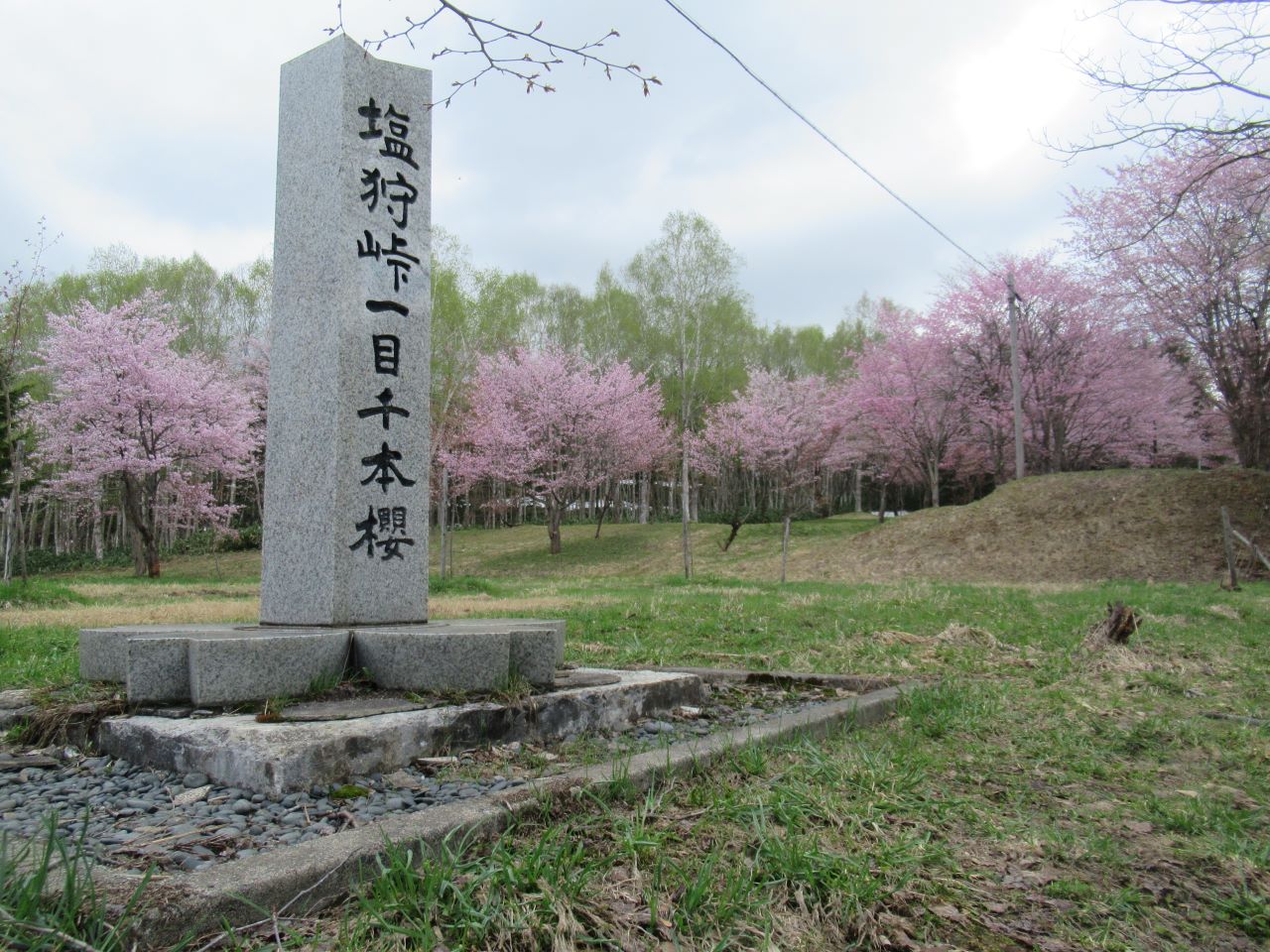 1resizeH30塩狩峠一目千本桜①_和寒町商工労働係