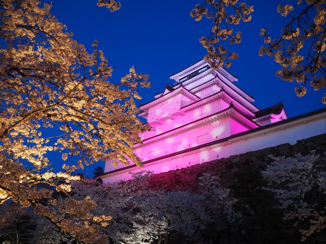 1鶴ヶ城夜桜ライトアップＨＰ