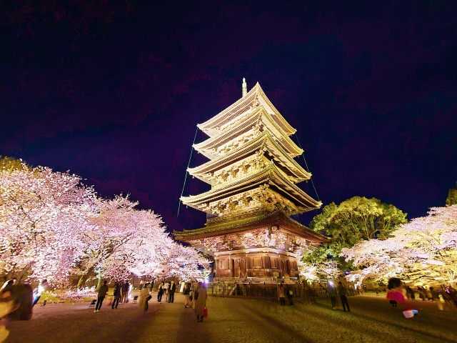 新日本海フェリーで行く　京都の文化財と桜名所めぐり