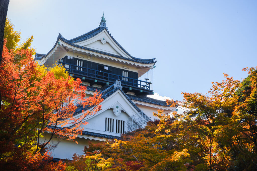 太平洋フェリーで行く 蒲郡みかん狩りと紅葉の岡崎城 ※みかん1kgお持ち帰り付き!