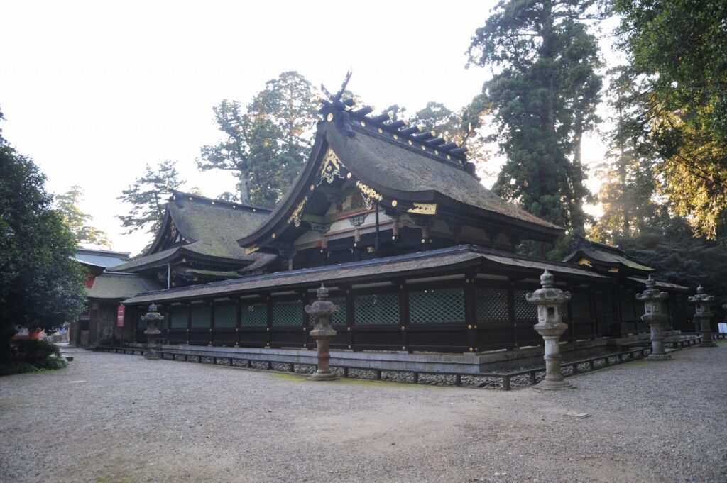 商船三井さんふらわあで行く!　　　　　　　　　　　　　　　　　　　　　　　　　　　　　　　　　　　　　ひたち海浜公園コキアと銚子電鉄乗車・東国三社の香取・鹿島神宮参拝