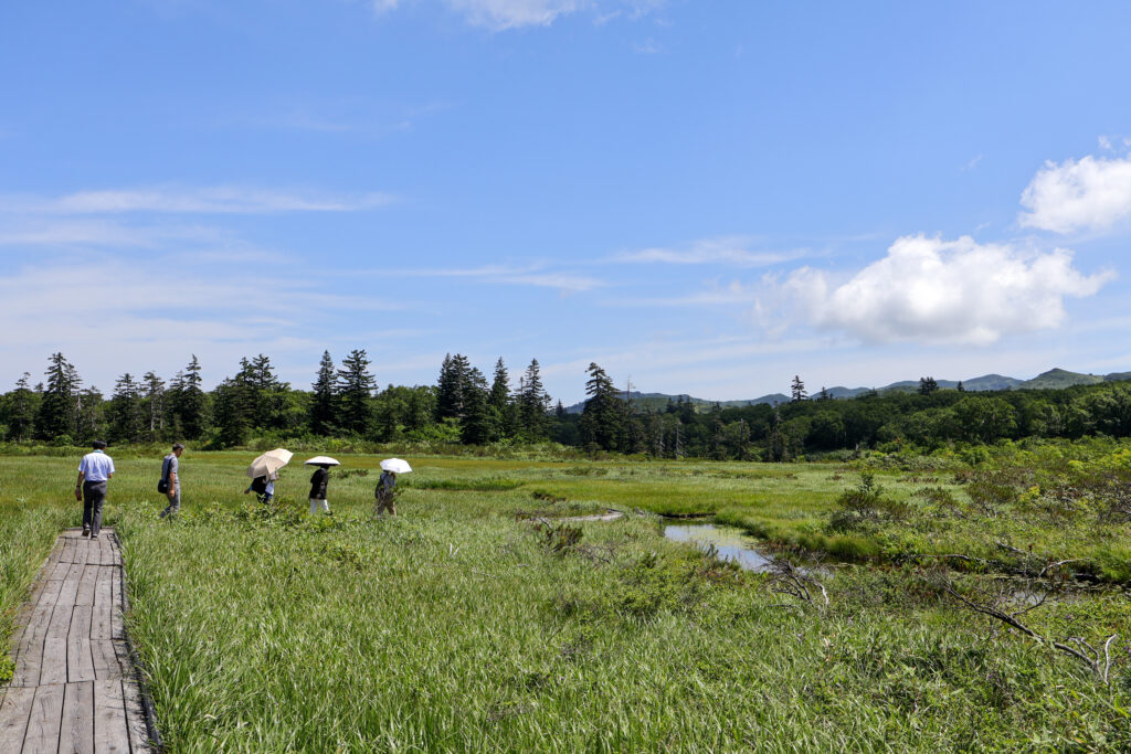<定期観光バス利用>いこいの湯宿いろは宿泊バスパック(個人型商品)