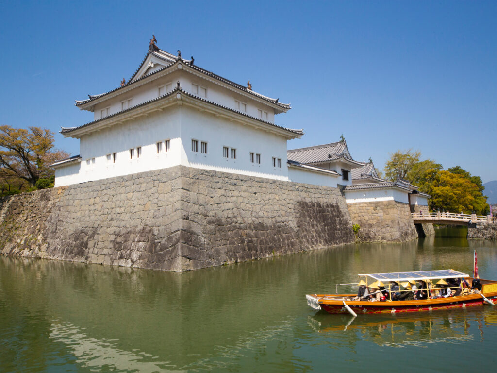 太平洋フェリーで行く!!春の味覚静岡石垣いちご狩りと静岡歴史めぐり