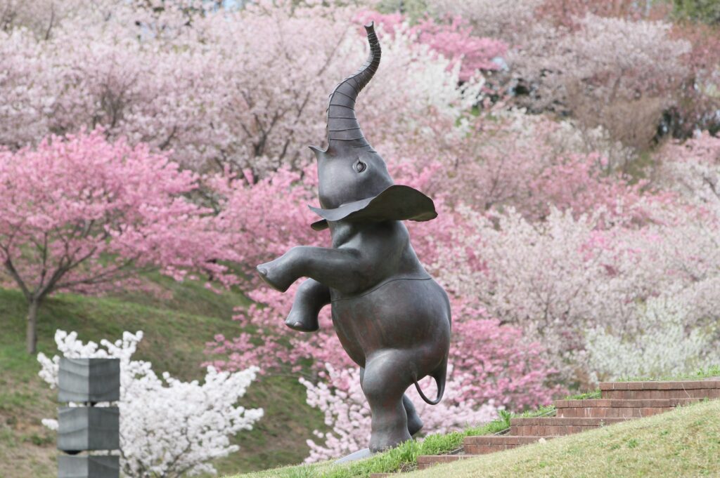 新日本海フェリーで行く！角館・大潟村・井川村の桜めぐり