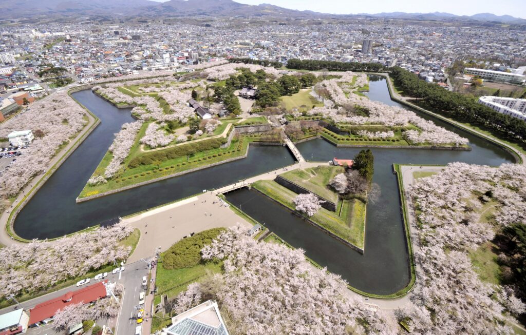 道南の桜の名所・函館の歴史を巡る！　五稜郭公園・函館公園・青葉ヶ丘公園・オニウシ公園　バスガイドがご案内します！