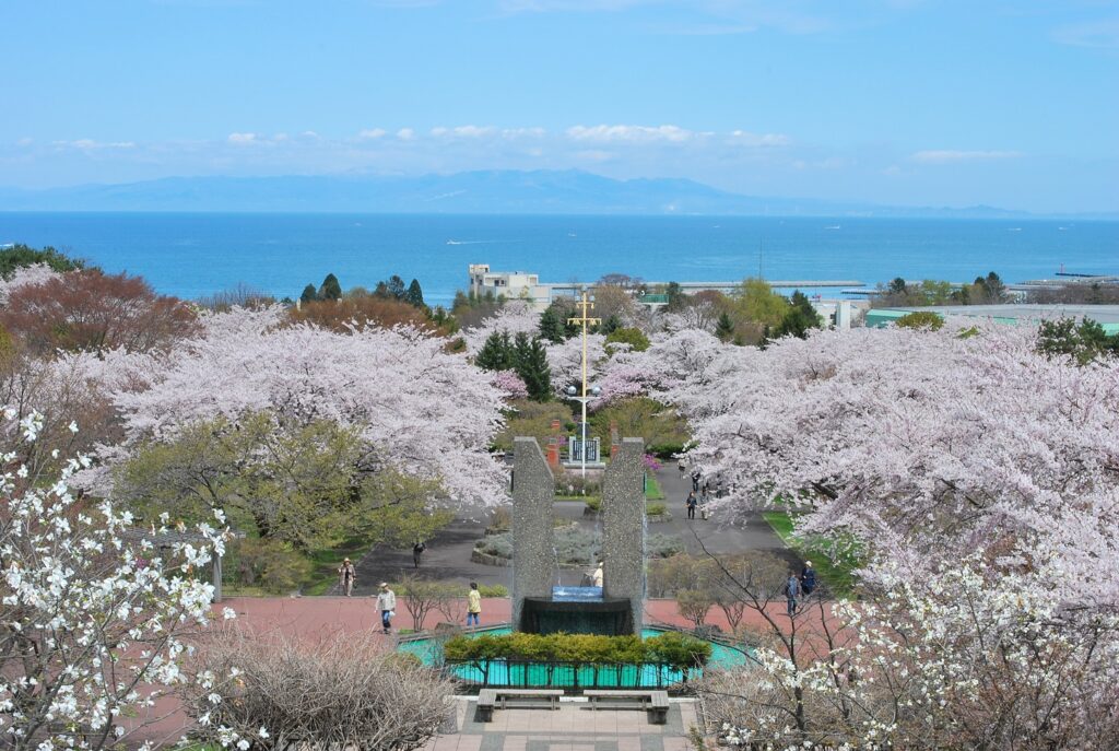 道南の桜の名所・函館の歴史を巡る！　五稜郭公園・函館公園・青葉ヶ丘公園・オニウシ公園　バスガイドがご案内します！