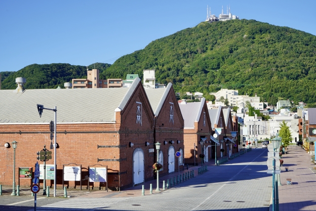 道南の桜の名所・函館の歴史を巡る！　五稜郭公園・函館公園・青葉ヶ丘公園・オニウシ公園　バスガイドがご案内します！