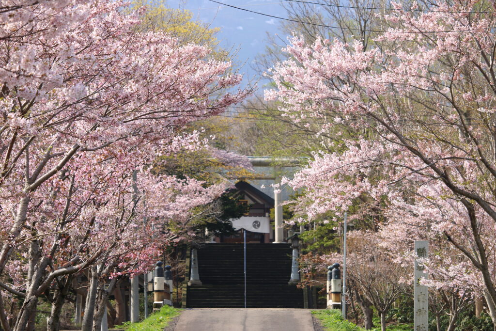 しりべしの桜名所と美食の髙島旅館