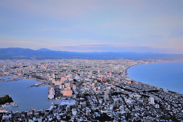 道南の桜の名所・函館の歴史を巡る！　五稜郭公園・函館公園・青葉ヶ丘公園・オニウシ公園　バスガイドがご案内します！