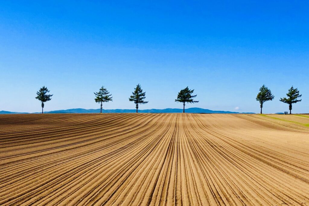 第42回ひがしもこと芝桜まつりと天都山エゾヤマザクラ見学